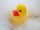 rubber duck (Semevent from Pixabay)