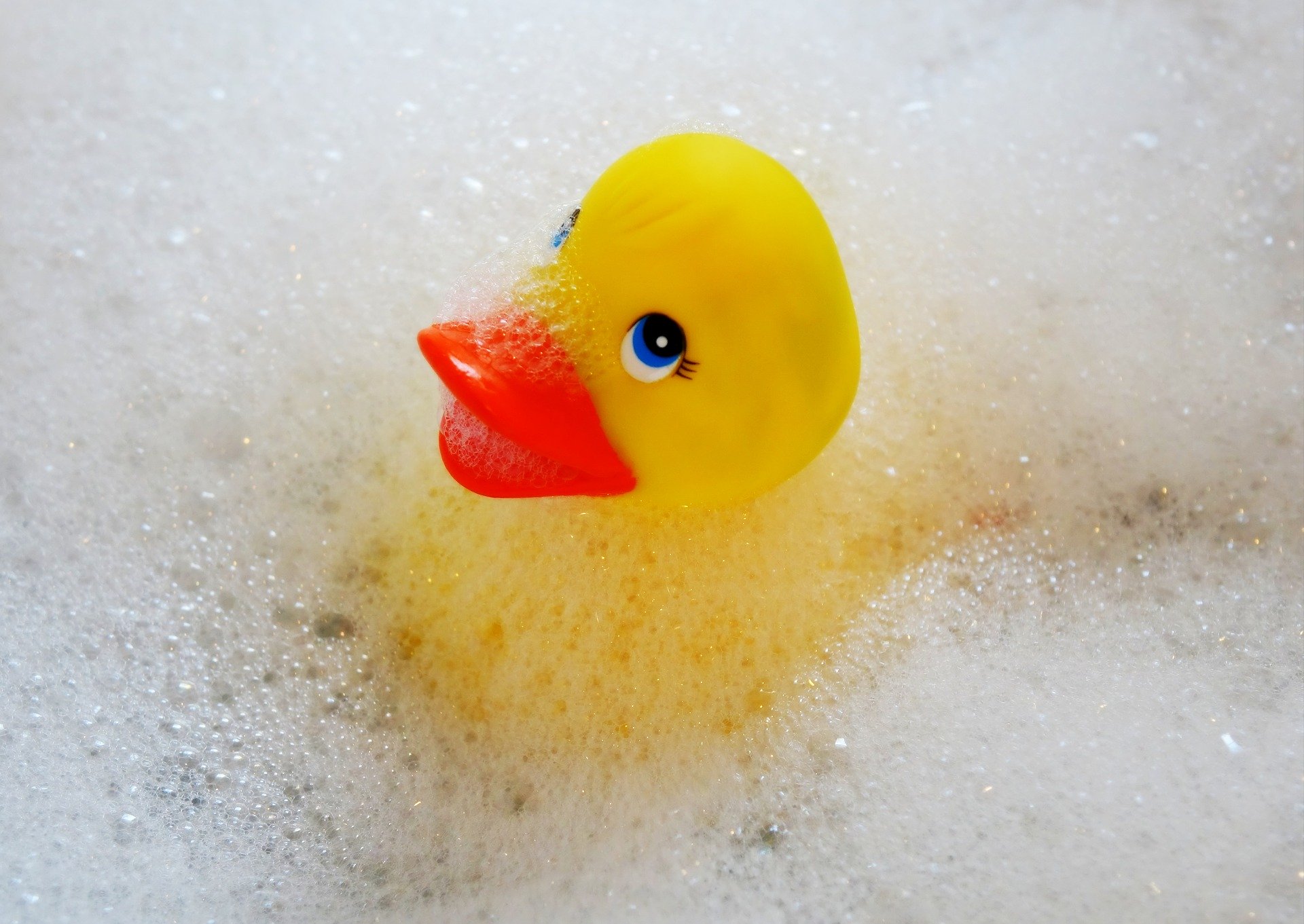 rubber duck (Semevent from Pixabay)