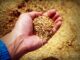 abundance-agricultural-agriculture-arm (icon0.com from Pexels)