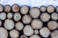 brown-wooden-logs-covered-with-snow-3646686 (VisionPic .net from Pexels)