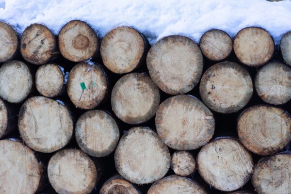 brown-wooden-logs-covered-with-snow-3646686 (VisionPic .net from Pexels)