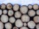 brown-wooden-logs-covered-with-snow-3646686 (VisionPic .net from Pexels)