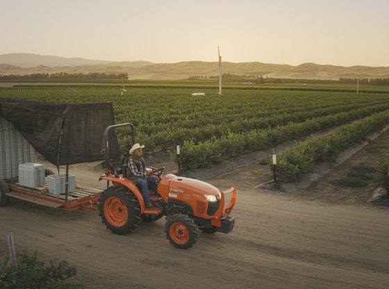 IBM FoodTrust (Foto: IBM)