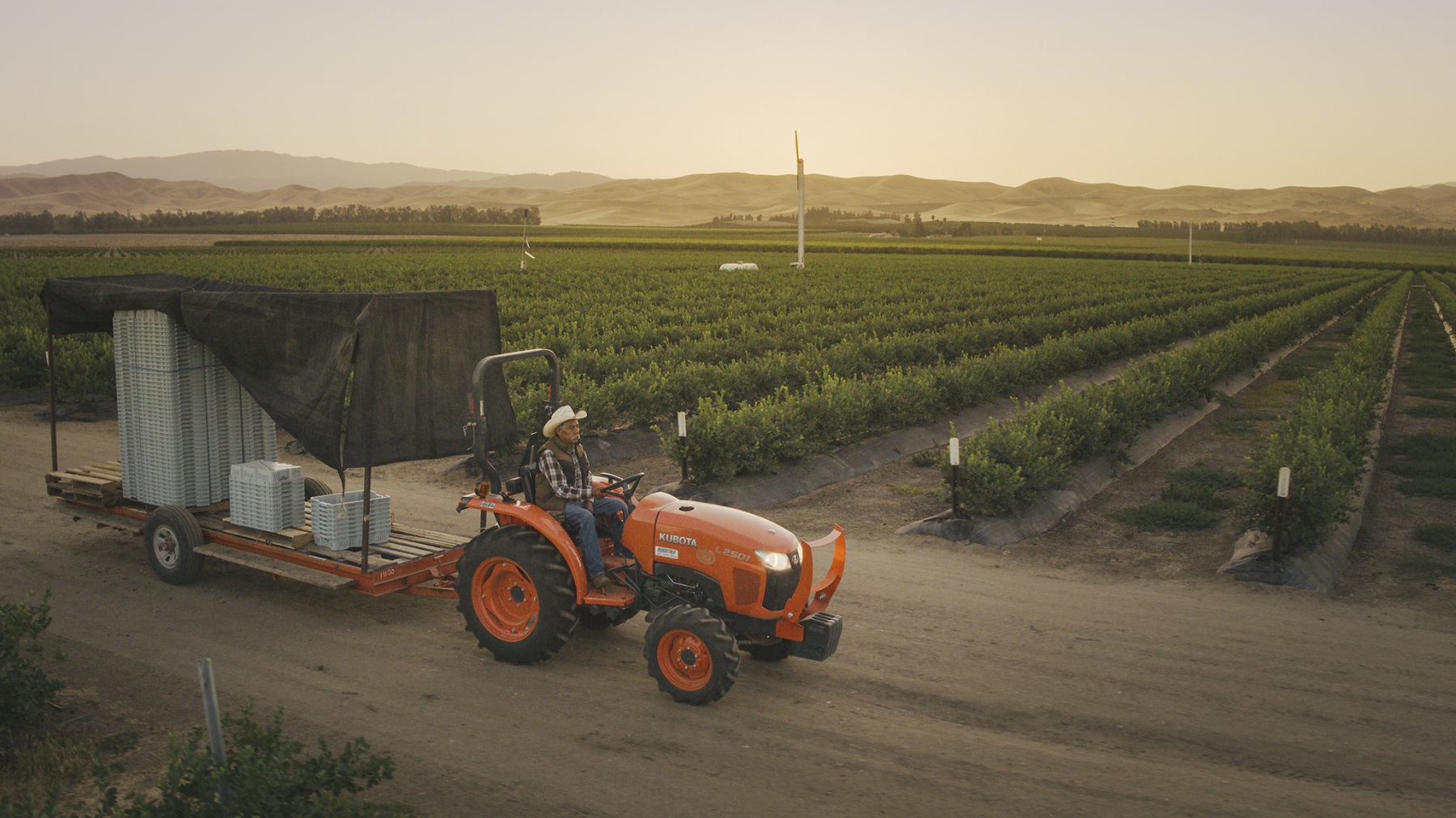 IBM FoodTrust (Foto: IBM)