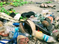 Plastic waste (John Cameron on Unsplash)