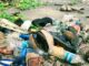 Plastic waste (John Cameron on Unsplash)