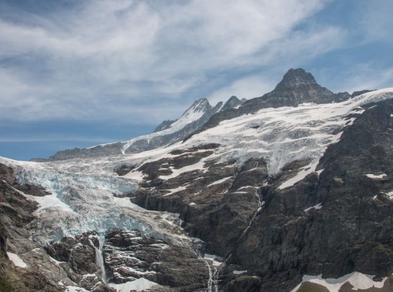 Oberer Grindelwald Gletscher und Schreckhorn in den Berner Alpen (FAU/Christian Sommer)