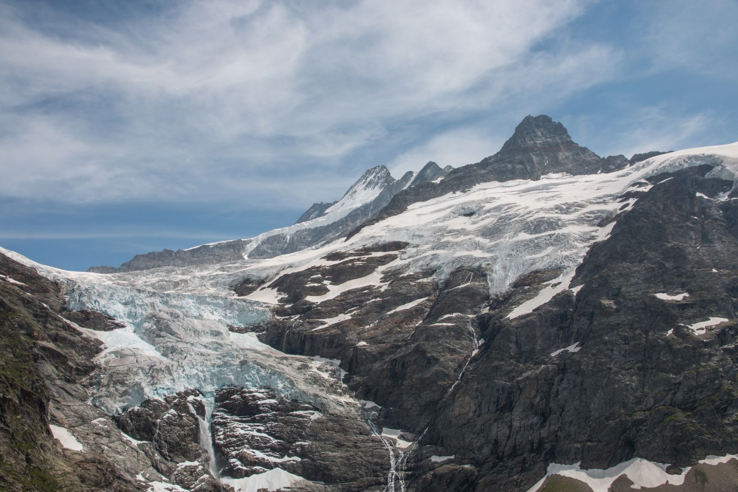 Oberer Grindelwald Gletscher und Schreckhorn in den Berner Alpen (FAU/Christian Sommer)