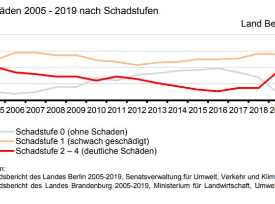 Waldschäden Berlin (Amt für Statistik Berlin-Brandenburg)