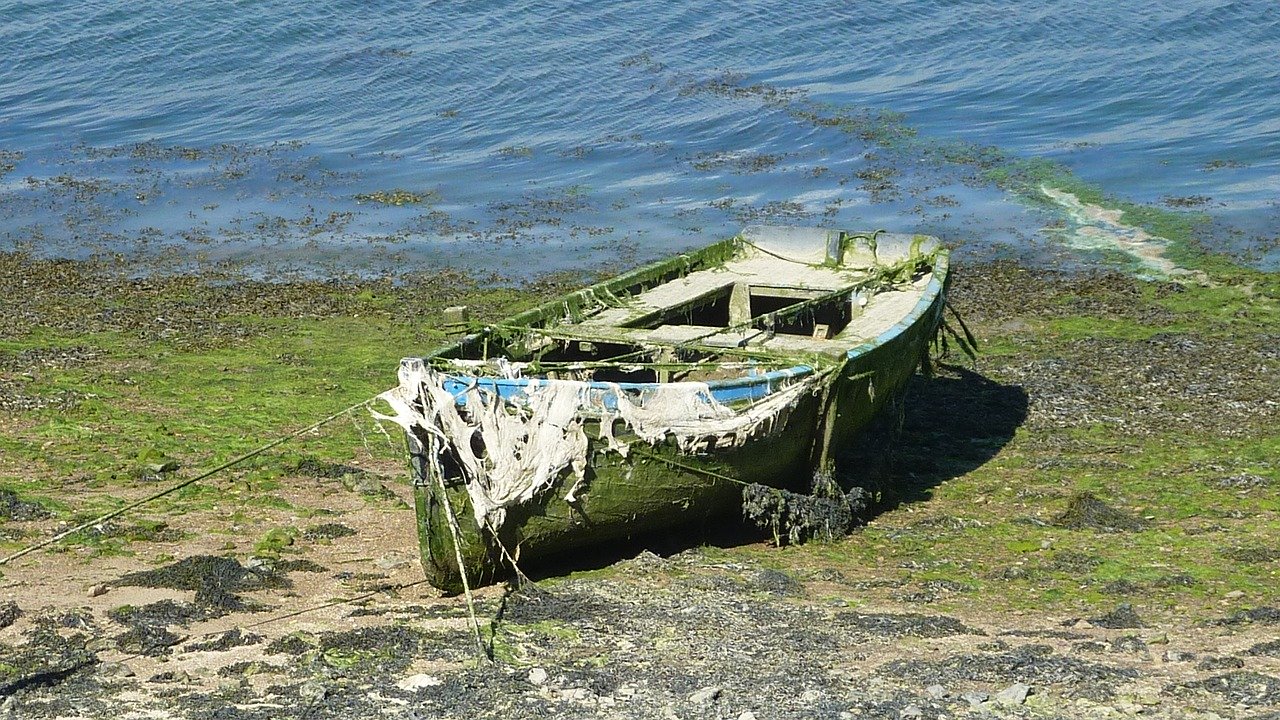 Algen (jacky73490 from Pixabay)