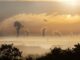 Smog in Deutschland (Foto-Rabe from Pixabay)