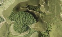 Luftaufnahme eines Waldstückes im brasilianischen atlantischen Regenwald, der von Zuckerrohr umgeben ist. (Mateus Dantas de Paula)