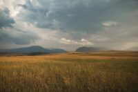 Regional auftretende Missernten sind häufig das Ergebnis einer Kombination verschiedener Wetterphänomene: Das zeigt eine aktuelle Studie unter Leitung des ZALF (Pixabay)