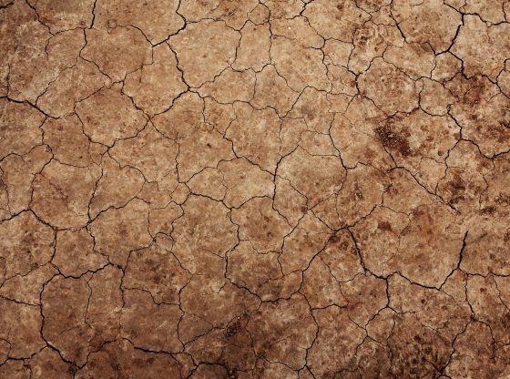 Bodenerosion (PublicDomainPictures from Pixabay)