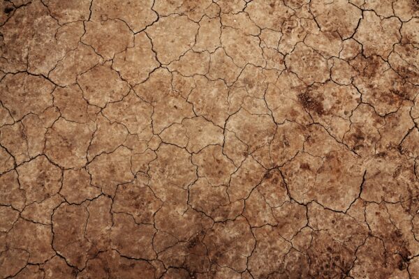 Bodenerosion (PublicDomainPictures from Pixabay)