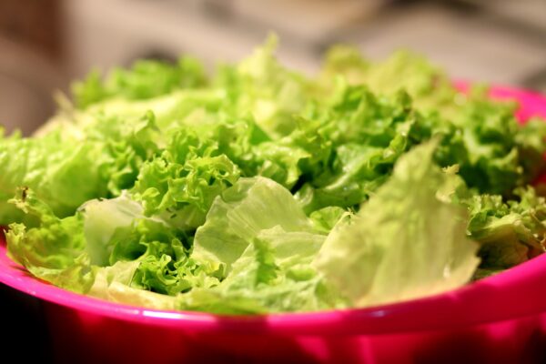 Salat (Pexels from Pixabay)