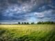Getreideernte (Albrecht Fietz from Pixabay)