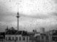 Armut in Berlin (Francesco Ungaro from Pexels)