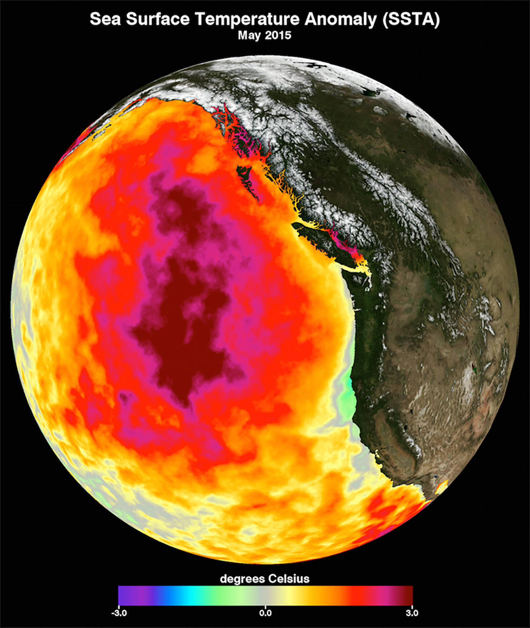 Monatliche Durchschnittstemperatur der Meeresoberfläche für Mai 2015 (Courtesy NASA Physical Oceanography Distributed Active Archive Center)