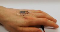 Das bioabbaubare Display kann aufgrund seiner Anpassungsfähigkeit und Adhäsion direkt auf der Hand getragen werden (Manuel Pietsch/KIT)