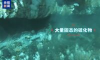 Blick auf eine Meeresbodenablagerung mit großen Mengen an festen Sulfiden. (Foto: CCTV News)