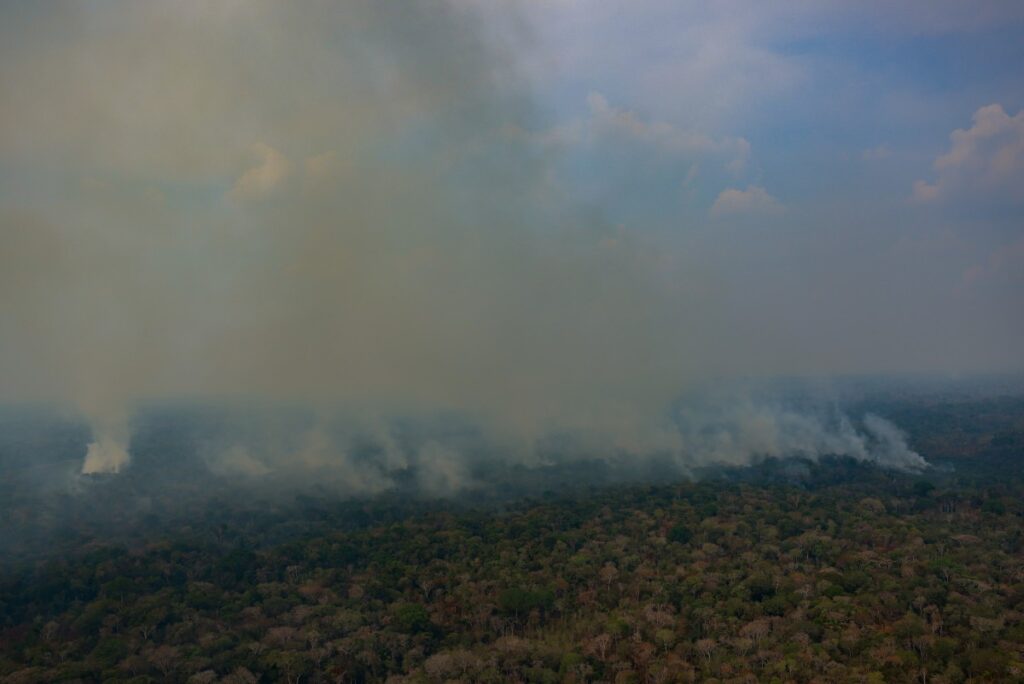 Eine Luftaufnahme zeigt ein von Bränden betroffenes Gebiet im Amazonas-Regenwald bei Autazes im Bundesstaat Amazonas, Nordbrasilien, am 15. Oktober 2026. (Foto: MICHAEL DANTAS / AFP)