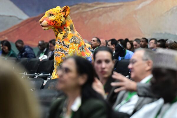 Teilnehmer besuchen die 17. Vertragsstaatenkonferenz (COP 17) des Übereinkommens über die biologische Vielfalt (CBD) am 27. Oktober 2026 in der armenischen Hauptstadt Jerewan. (Foto: AFP)