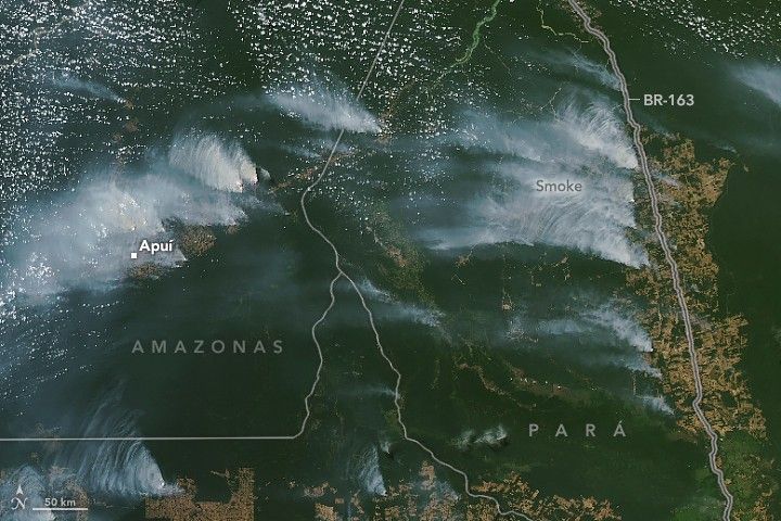 Satellitenaufnahme des brasilianischen Amazonasgebiets im August 2024. (Foto: NASA Earth Observatory)