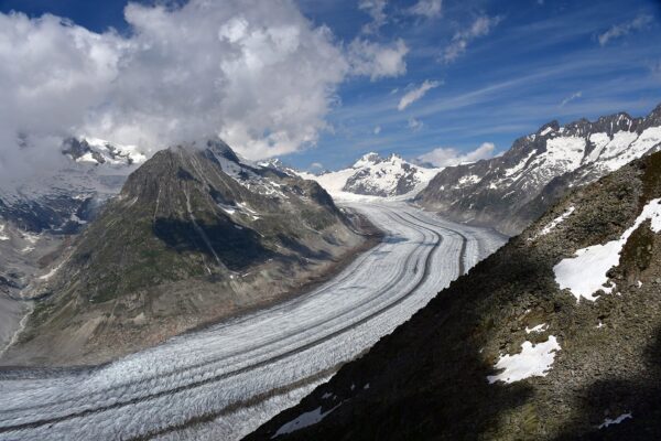 Der Aletschgletscher im Schweizer Kanton Wallis, aufgenommen vom Eggishorn im Juli 2019. Foto: Gzzz / Wikimedia Commons / CC BY-SA 4.0