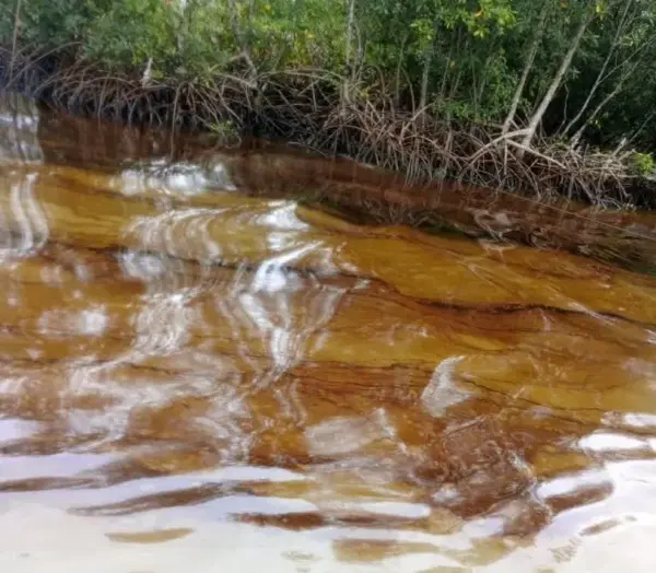 Ölschlieren in einem Fluss im Nigerdelta. (Foto: Vanguard)